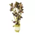Purple Bacopa Live Plant image thumbnail 1