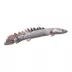 Delhezi Bichir image thumbnail 1