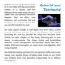 Red Head Tapajos South American Cichlid image thumbnail 2