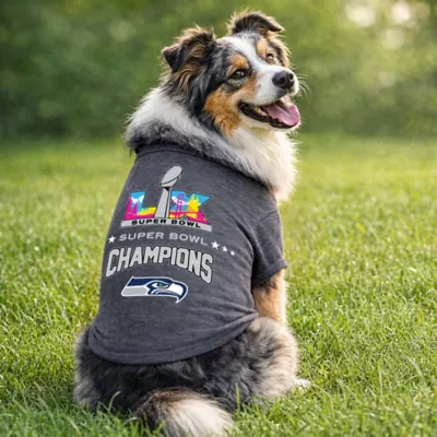 Seattle Seahawks Superbowl LX Champion Tee - Image 2