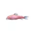 GloFish® Moonrise Pink Cory Catfish image thumbnail 1