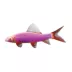 GloFish® Galactic Purple Shark image thumbnail 1