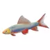 GloFish® Cosmic Blue Shark image thumbnail 1