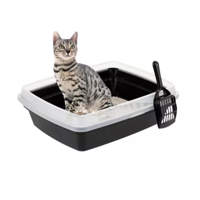 IRIS Open Top Cat Litter Box with Scoop, Plastic Pan , Black - Image 1