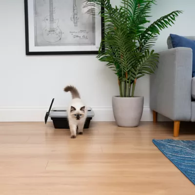 IRIS Open Top Cat Litter Box with Scoop, Plastic Pan , Black - Image 2