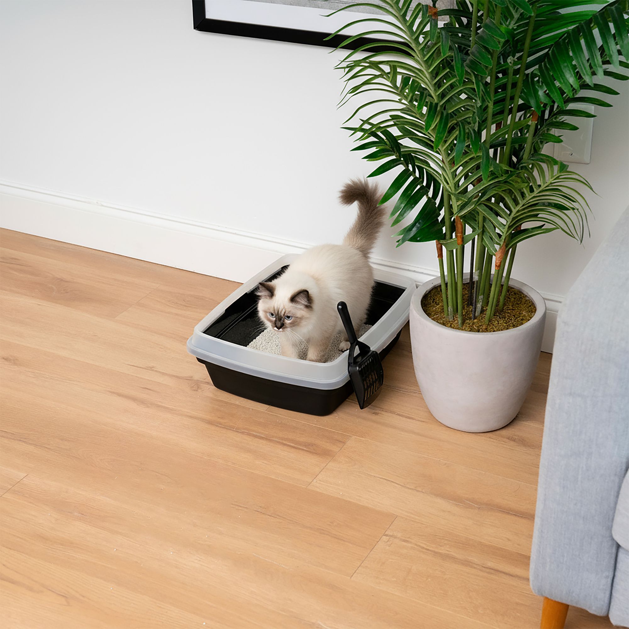IRIS Open Top Cat Litter Box with Scoop, Plastic Pan , Black - thumbnail 3
