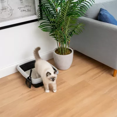 IRIS Open Top Cat Litter Box with Scoop, Plastic Pan , Black - Image 4