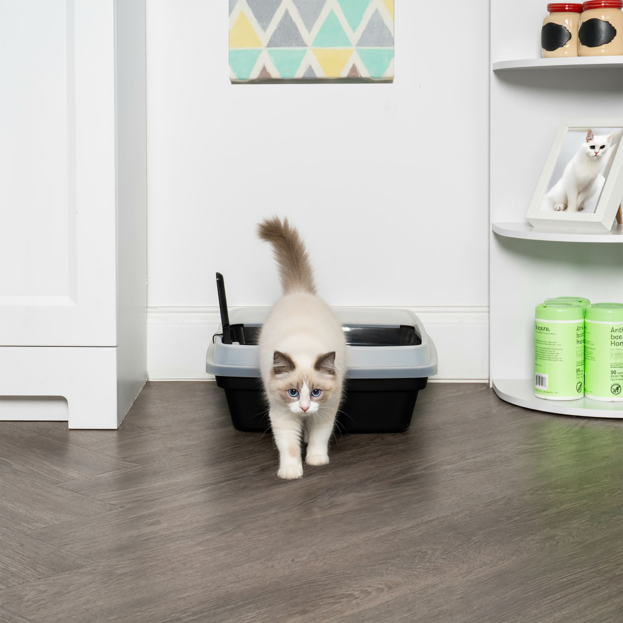 IRIS Open Top Cat Litter Box with Scoop, Plastic Pan , Black - thumbnail 7