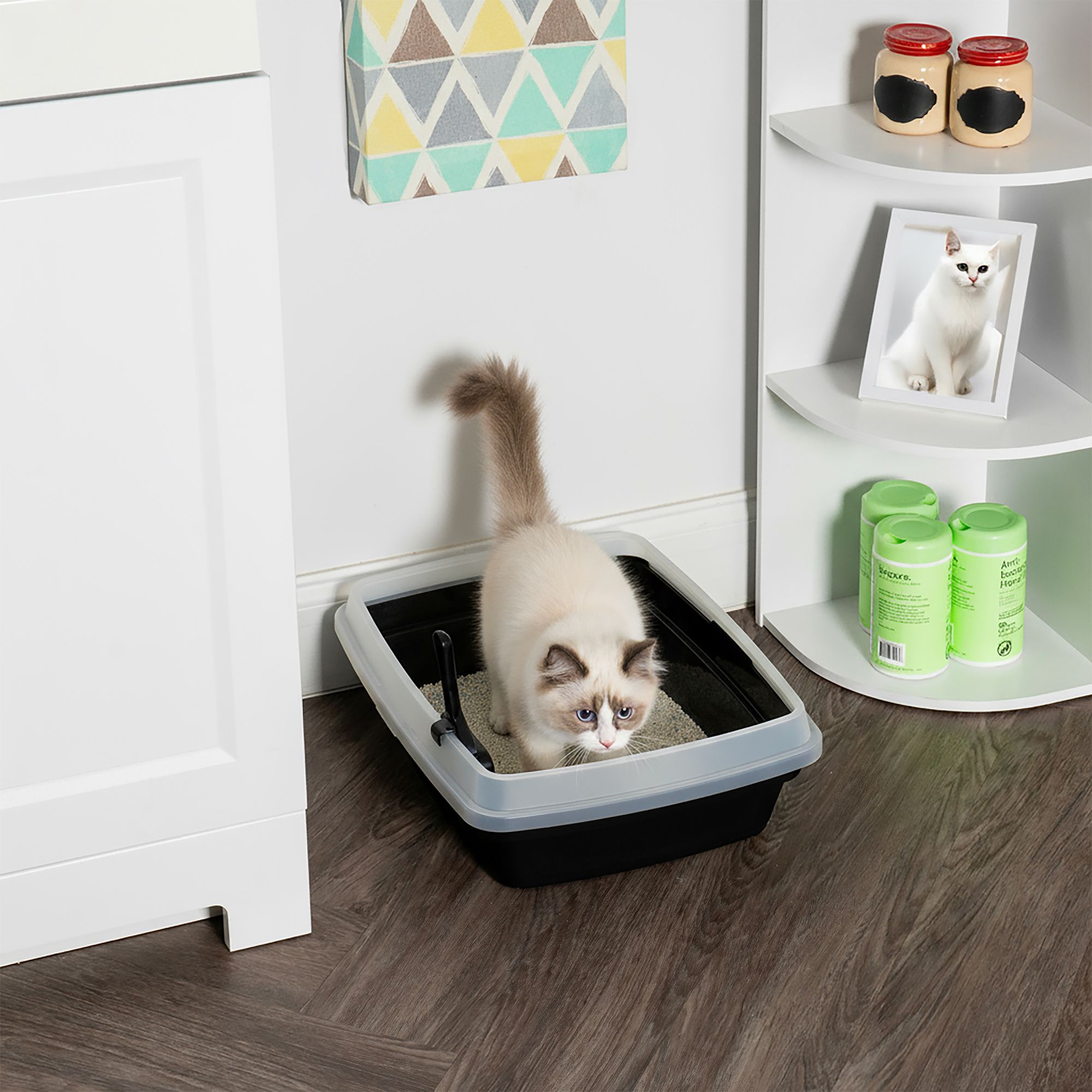 IRIS Open Top Cat Litter Box with Scoop, Plastic Pan , Black - thumbnail 8