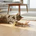 Catit Interactive Cat Toy Natural Feathers 2-pack image thumbnail 3