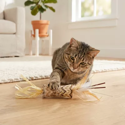 Catit Interactive Cat Toy Natural Feathers 2-pack - Image 4