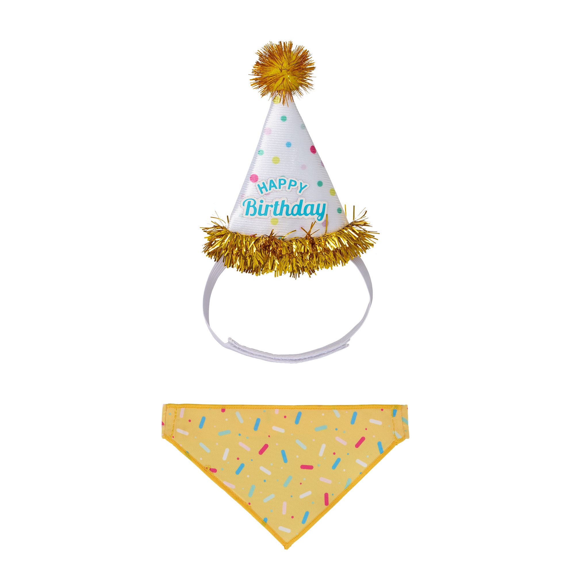 Life of The Party® Small Pet Birthday Hat & Bandana Costume