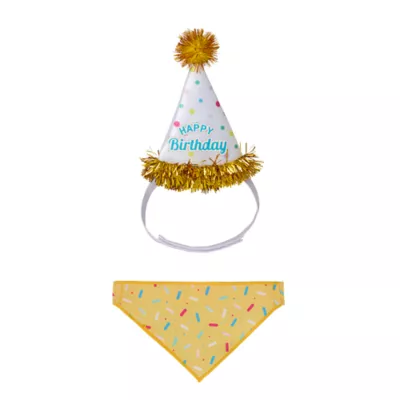 Life of The Party® Small Pet Birthday party hat & bandana - Image 1
