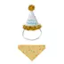 Life of The Party® Small Pet Birthday party hat & bandana image thumbnail 1
