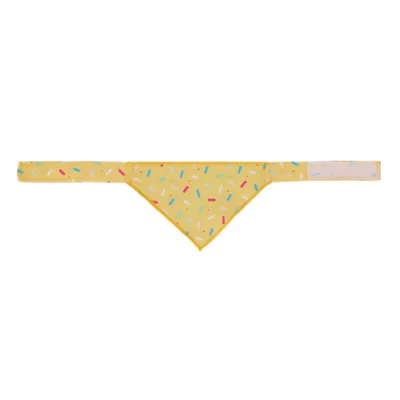Life of The Party® Small Pet Birthday party hat & bandana - Image 2