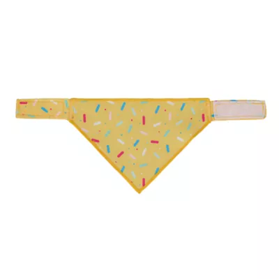 Life of the Party® Reptile Birthday Hat & Bandana - Image 2