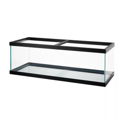 Aqueon® Standard Glass Rectangle Aquarium Glass Fish Tank 2.5 Gallon - 55 Gallon - Image 3