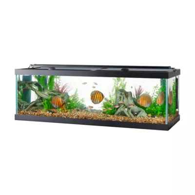 Aqueon® Standard Glass Rectangle Aquarium Glass Fish Tank 2.5 Gallon - 55 Gallon - Image 5