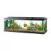 Aqueon® Standard Glass Rectangle Aquarium Glass Fish Tank 2.5 Gallon - 55 Gallon image thumbnail 5