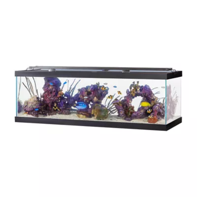 Aqueon® Standard Glass Rectangle Aquarium Glass Fish Tank 2.5 Gallon - 55 Gallon - Image 6