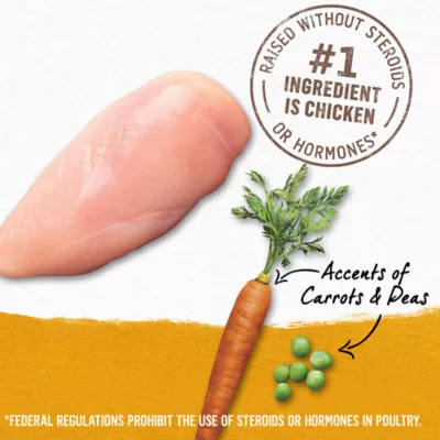 Beyond Ground Entrée Chicken, Carrot & Pea Recipe, Wet Dog Food, 368g - Image 4