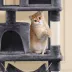 Yaheetech Cat Tree with 2 Condos & 2 Perches - 63 in image thumbnail 5