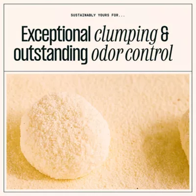 Sustainably Yours Small Grain Formula Corn & Cassava Unscented Cat Litter - Clumping, Low Dust - Image 5