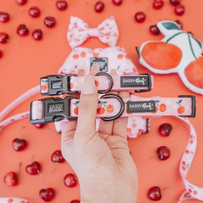 Sassy Woof Mon Chérry Dog Collar - Image 5