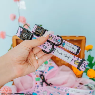 Sassy Woof Hello Kitty® & Friends Flower Festival Dog Collar - Image 5