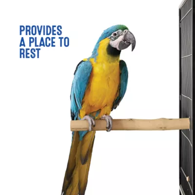 All Living Things® Natural Wood Perch - Forked Natural Wood Bird Cage Perch for Small Birds - Image 5