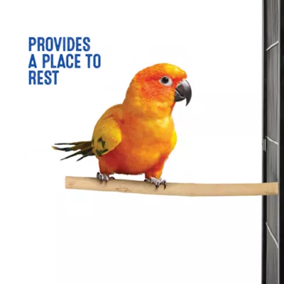 All Living Things® Natural Wood Perch - Forked for Small Birds - Image 5