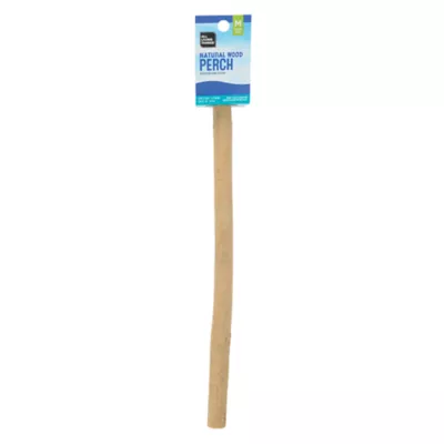 All Living Things® Natural Wood Perch - Forked for Small Birds - Image 6