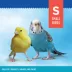 All Living Things® Natural Wood Perch - Forked Natural Wood Bird Cage Perch for Small Birds image thumbnail 2