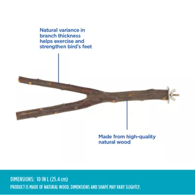 All Living Things® Natural Wood Perch - Forked Natural Wood Bird Cage Perch for Small Birds - Image 3