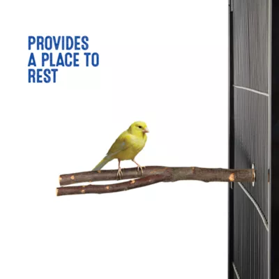 All Living Things® Natural Wood Perch - Forked Natural Wood Bird Cage Perch for Small Birds - Image 5