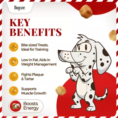 Dogsee Chew, Mini Pops Dog Training Treats, Coconut - Image 4