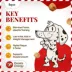 Dogsee Chew, Mini Pops Dog Training Treats, Coconut image thumbnail 4