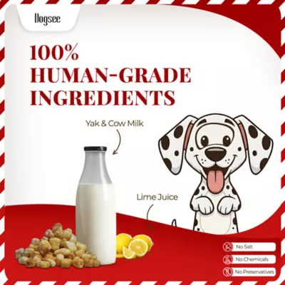 Dogsee Chew, Mini Pops Dog Training Treats, Coconut - Image 6