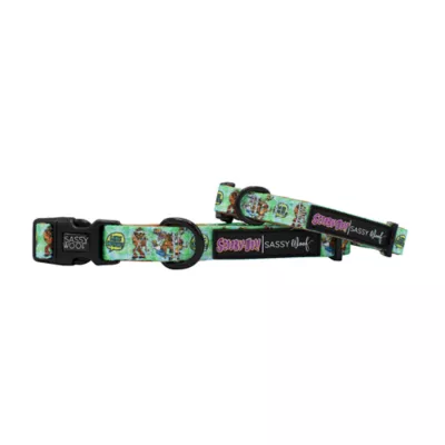Sassy Woof Scooby-Doo Dog Collar - Image 1
