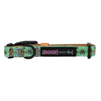 Sassy Woof Scooby-Doo Dog Collar - Image 3