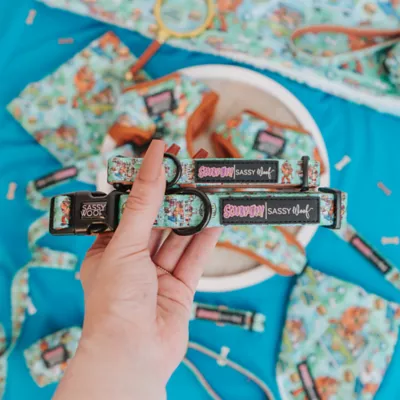 Sassy Woof Scooby-Doo Dog Collar - Image 5