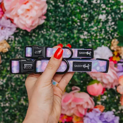 Sassy Woof Fleur De Sass Dog Collar - Image 5