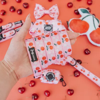 Sassy Woof Mon Chérry Dog Leash - 5FT L - Image 4