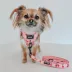 Sassy Woof Mon Chérry Dog Leash - 5FT L image thumbnail 5