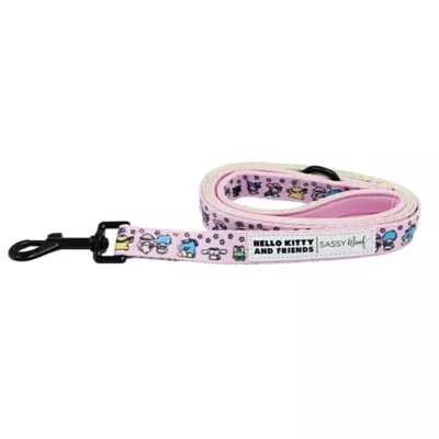 Sassy Woof Hello Kitty® & Friends Flower Festival Dog Leash - 5FT L - Image 2