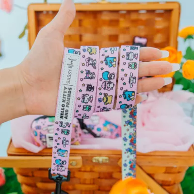 Sassy Woof Hello Kitty® & Friends Flower Festival Dog Leash - 5FT L - Image 5