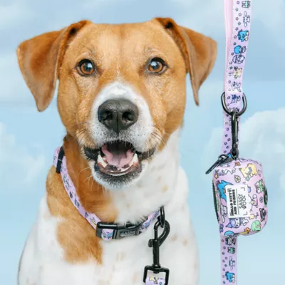 Sassy Woof Hello Kitty® & Friends Flower Festival Dog Leash - 5FT L - Image 6