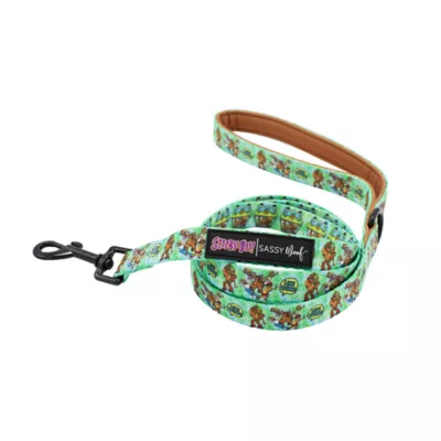 Sassy Woof Scooby-Doo# Dog Leash - 5FT L - Image 1