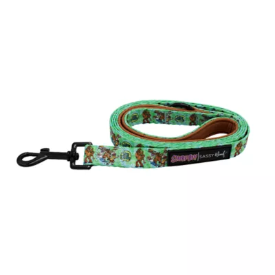 Sassy Woof Scooby-Doo# Dog Leash - 5FT L - Image 2