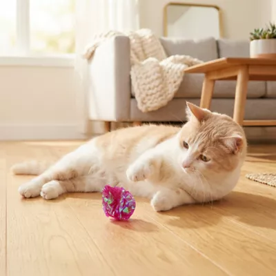 Catit Interactive Cat Toy Crinkle Paper Ball 4-pack - Image 4